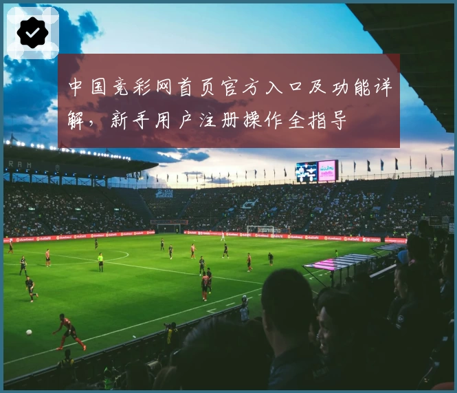 中国竞彩网首页官方入口及功能详解，新手用户注册操作全指导